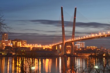 Köprünün Haliç Vladivostok içinde defne için gece görünümü