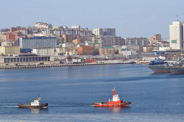 Vladivostok, Russia, January, 09, 2015. Russian scene: nobody, Saliy Peter The Great — Stok fotoğraf