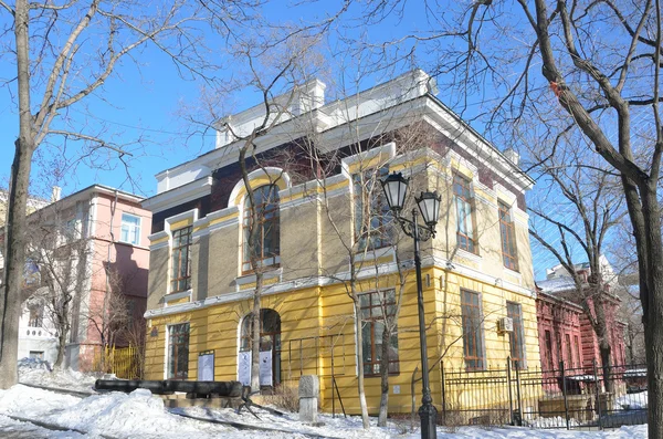 Vladivostok (Rusland), januari, 13, 2015. Russische scène: niemand, Museum en tentoonstelling centrum vernoemd naar V. K. Arsenyev in Vladivostok — Stockfoto