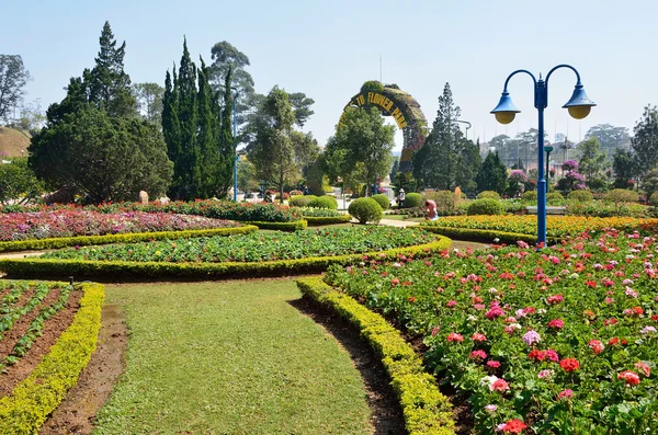 Jardim botânico em Baoding, Vietnã — Fotografia de Stock