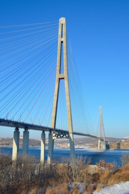 Vladivostok Bridge'de çöpünü için görünümü