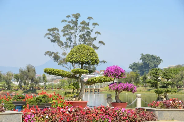 Jardim botânico em Baoding, Vietnã — Fotografia de Stock