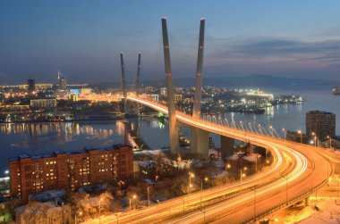 Köprünün Haliç Vladivostok içinde defne için gece görünümü