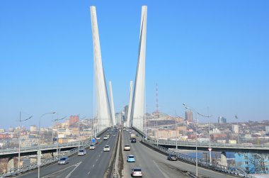 Köprünün Haliç Vladivostok içinde defne için görünümü