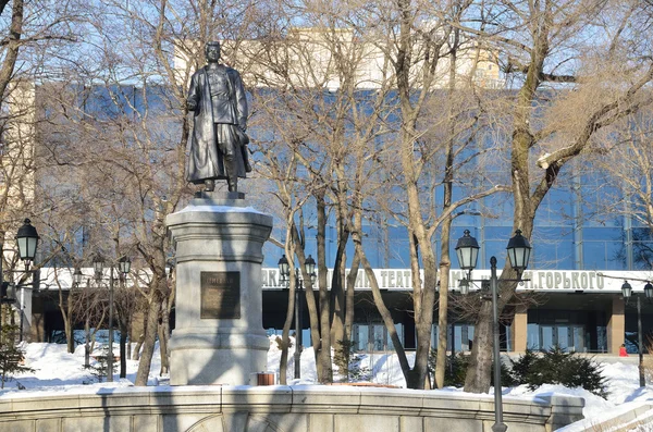 Vladivostok, Russia, 08 gennaio 2015. Monumento a Sergey Lazo a Vladivostok — Foto Stock