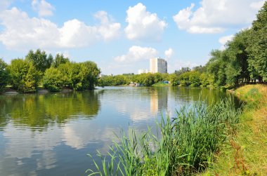 Moskova, Izmailovo gölette gümüş-Vinogradsky