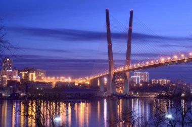 View for the bridge across the Golden horn bay in Vladivostok at night clipart