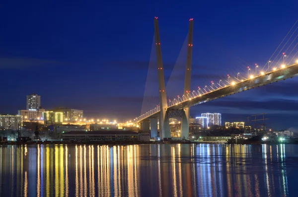 Köprünün Haliç Vladivostok içinde defne için gece görünümü