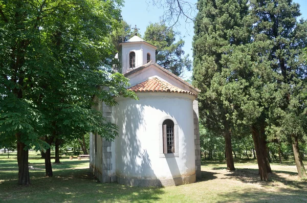 Montenegro Parque Podgorica Árboles Verano Viejo Iglesia Templo Católico Deshabitado —  Fotos de Stock