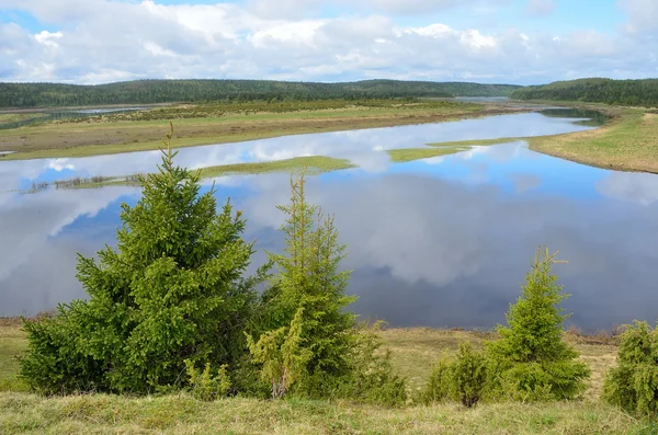 Росія, Кольський півострів, річка Varzuga — стокове фото