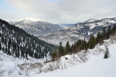 Russia, Siberia, the mountains of Khakassia in winter clipart