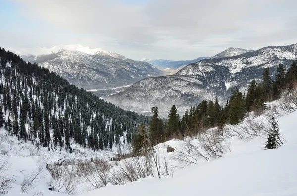 ロシア シベリア 冬のハカスの山 — ストック写真