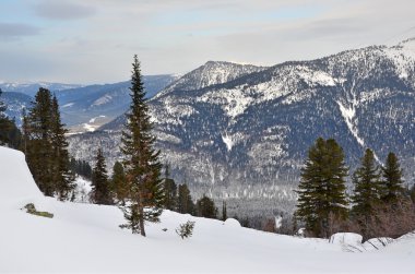 Russia, Siberia, the mountains of Khakasia in winter clipart