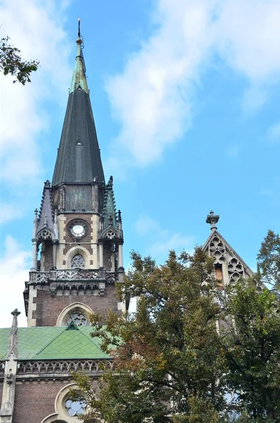 Kerk Van Heiligen Olga Elizabeth Lviv Oekraïne — Stockfoto