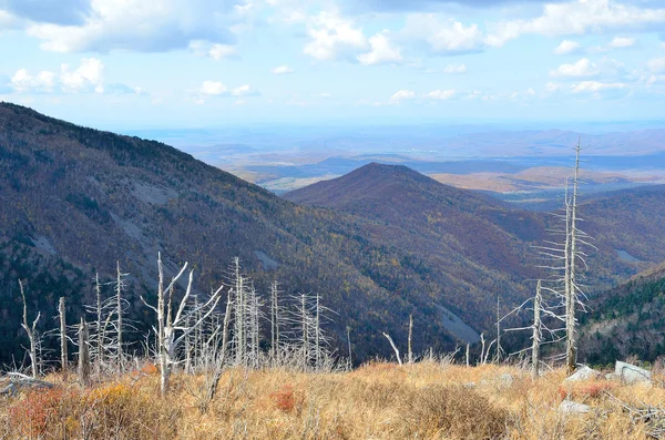 Caídas Del Lejano Oriente Las Vistas Desde Montaña Pedán — Foto de Stock