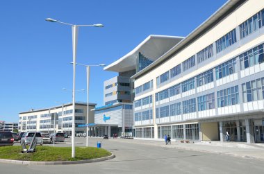 Vladivostok, Rusya, 11 Ekim 2015. Rus sahne: Uzak Doğu Federal Üniversitesi (Fefu insanlar)