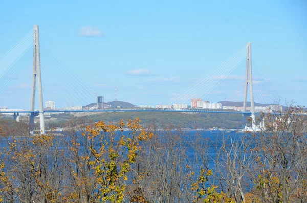 Schrägseilbrücke zur russischen Insel. Wladiwostok, Russland — Stockfoto