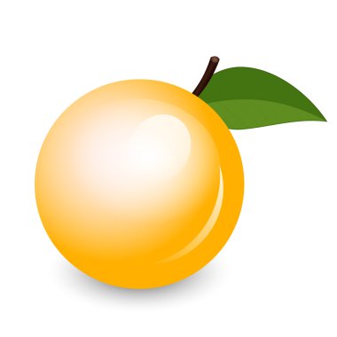 Vektör çizim parlak kayısı