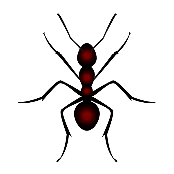 Ilustración vectorial de hormiga roja — Archivo Imágenes Vectoriales