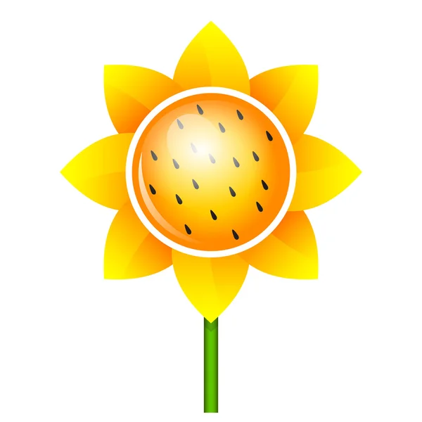 Vector sunflower icon — Stock Vector
