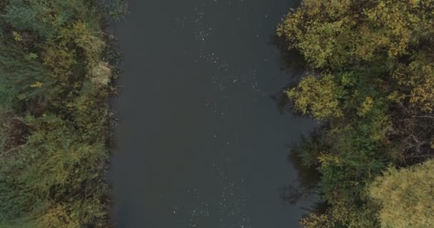 Vista Aérea Río Arriba Abajo — Vídeo de stock