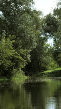 Sağlık, meditasyon ve sakin ruh hali için sakin nehir ve yeşil ormanlı dikey huzurlu doğa videosu için mükemmel. Motivasyon alıntıları, meditasyon makaraları, TikTok ve Instagram Şortları için mükemmel bir özgeçmiş.