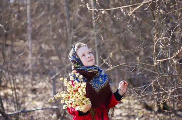 Girl with willow branches in the shawl — Stock Photo, Image