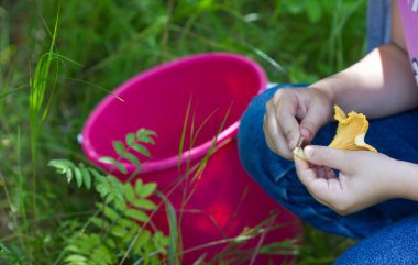 Ormanda mantar topluyorum..