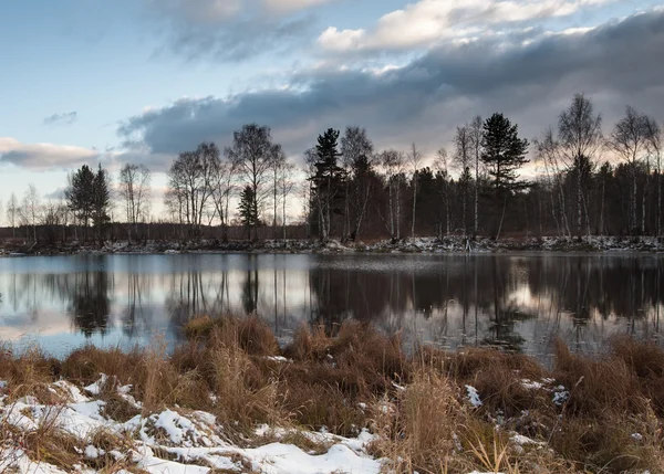 Skogstjärn — Stockfoto