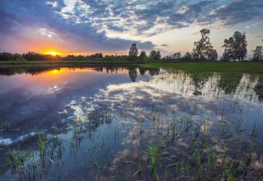 gün batımı çayır