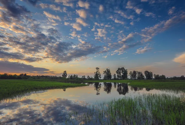 Abendfarben des Himmels — Stockfoto