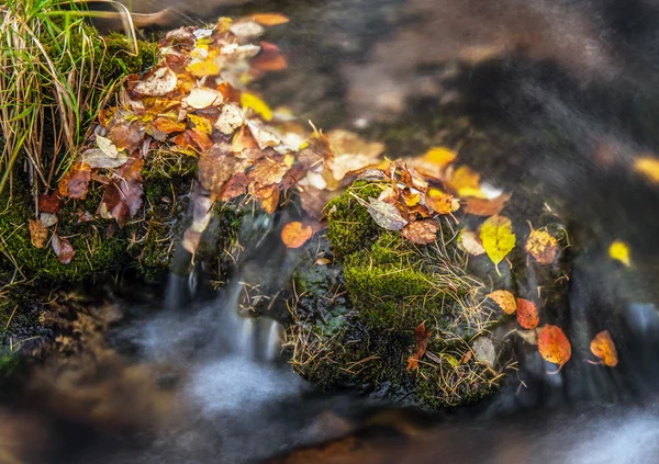 Höstens tid — Stockfoto