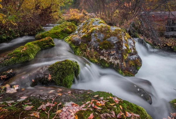 Podzimní creek — Stock fotografie