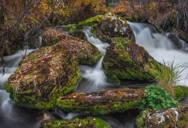 Rychlý proud a spadané listí na skalách — Stock fotografie