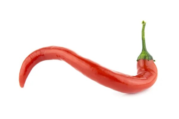 Röd het chilipeppar — Stockfoto