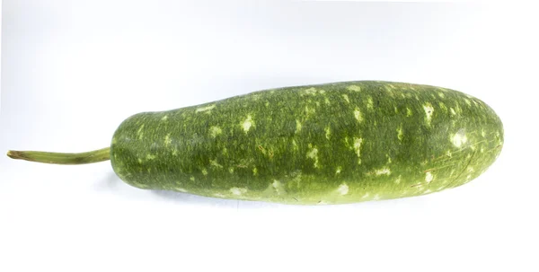 Groene kalebas — Stockfoto