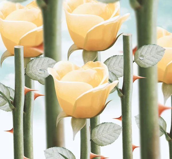 黄色玫瑰花园 — 图库照片