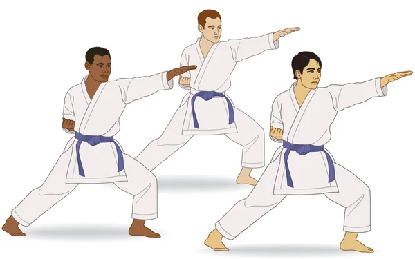 Karate Tres Machos Diversidad Cultural Postura Kata Aislado Sobre Fondo — Vector de stock