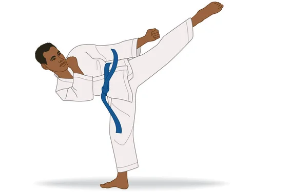 Karate Männliche Side Kick Haltung Isoliert Auf Weißem Hintergrund — Stockvektor