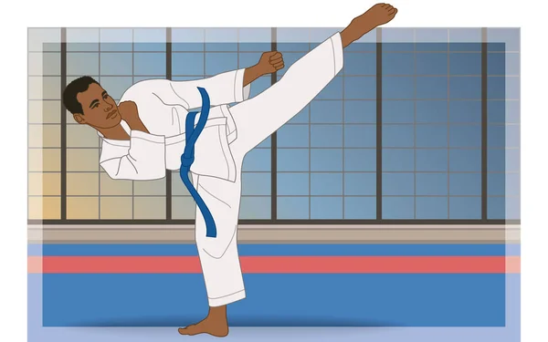 Karate Männliche Seitenkick Haltung Auf Matte Mit Dojo Hintergrund — Stockvektor