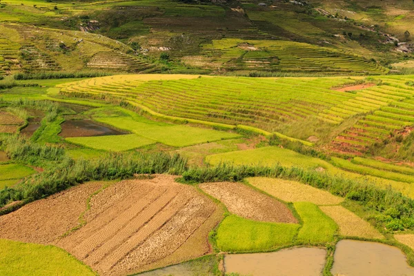 Campos de arroz verde en colinas en el centro de Madagascar — Foto de Stock