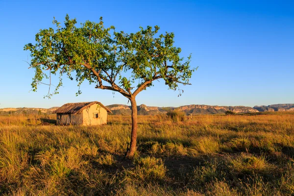 Casa en un paisaje africano al amanecer — Foto de Stock