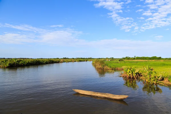 Río que corre a través de un hermoso paisaje verde tropical en un —  Fotos de Stock