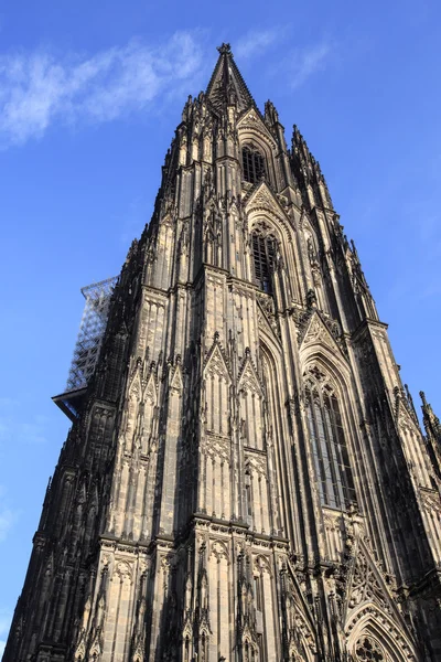 Fassade der Domkirche in der Kölner Innenstadt — Stockfoto