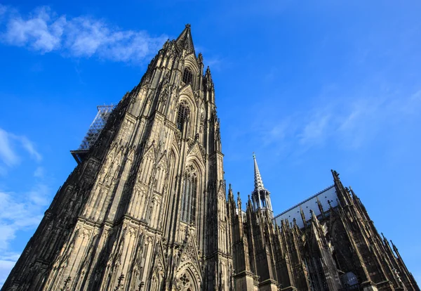 Die Domkirche in der Stadt Köln — Stockfoto