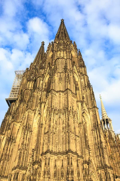 Facade of the Dom church in the city Cologne lit by sun — Stock Photo, Image