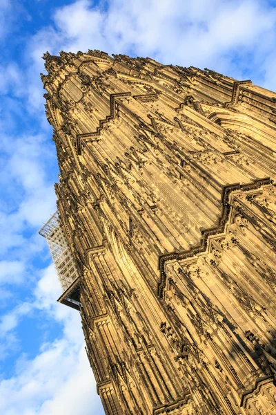 太陽に照らされた街でドム教会のファサード ケルン — ストック写真