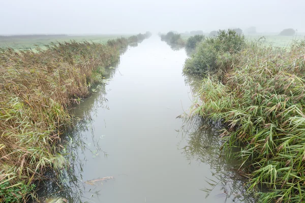 Rivier in een mistige ochtend rurale landschap in Nederland — Stockfoto