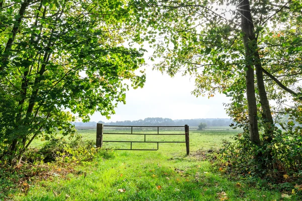 Landskap av Vall sett genom träden — Stockfoto