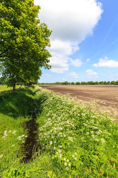 Countryside landscape with ditch and cultivated farm field — Stock Photo, Image